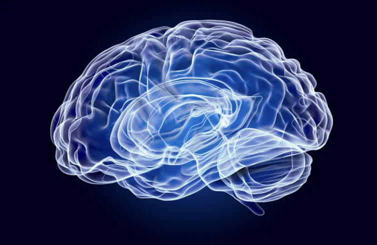wet brain